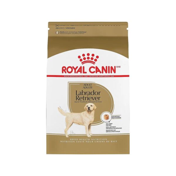 Labrador Retriever Adult Dry Dog Food for Large Breed Support