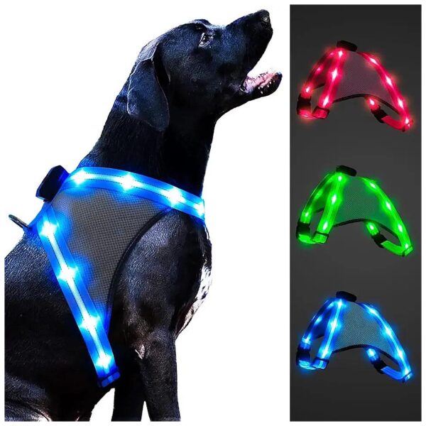 Large Blue Solid Nylon Led Dog Harness with Reflective Material for Night Walking Safety