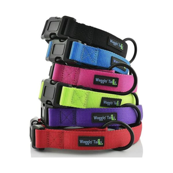 Large Breed Dog Collar with Padded Neoprene for Comfort and Durability