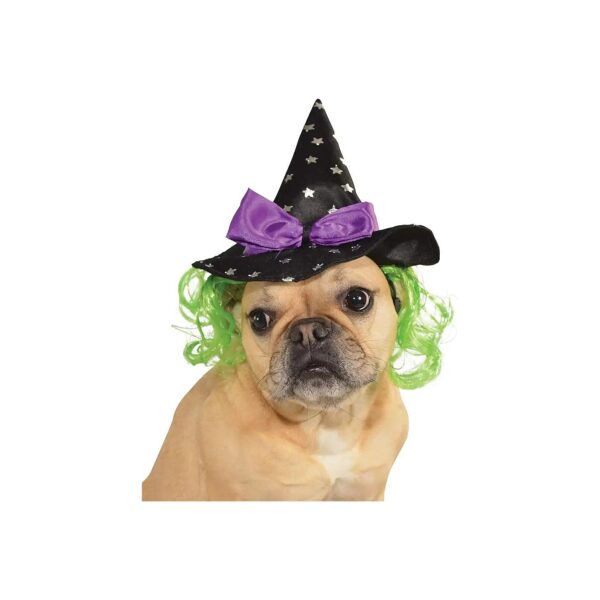 Large Breed Dog Halloween Hat with Hair Pet Accessory Medium Large