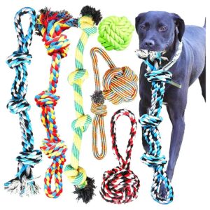 Large Breed Dog Toys for Healthy Teeth and Gums, 6 Pack Collection