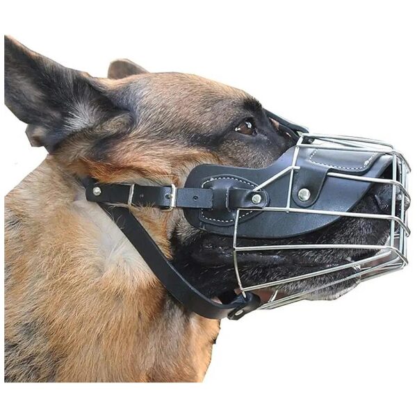 Large Breed Metal Dog Muzzle with Adjustable Straps for Biting Training