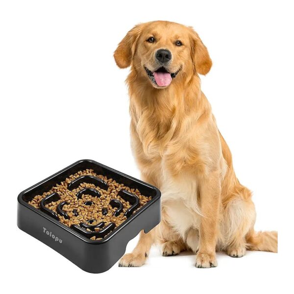 Large Breed Slow Feeder Dog Bowls with 10 Cups Capacity and Anti-Choking Features