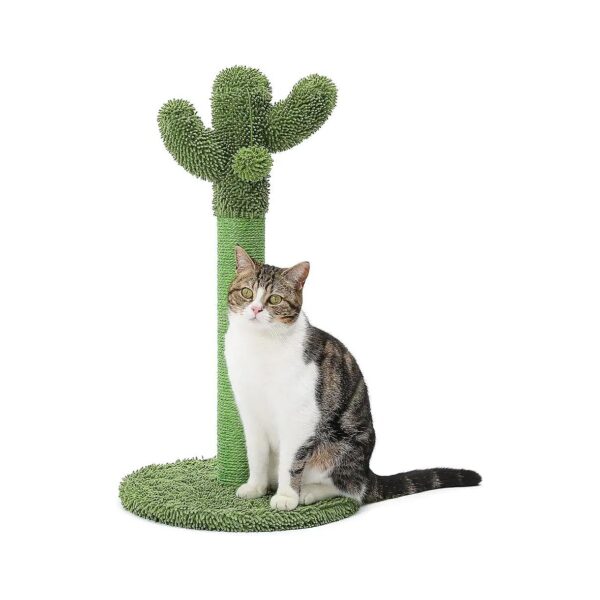 Large Cactus Cat Scratcher for Indoor Cats with Sisal Rope and Dangling Ball