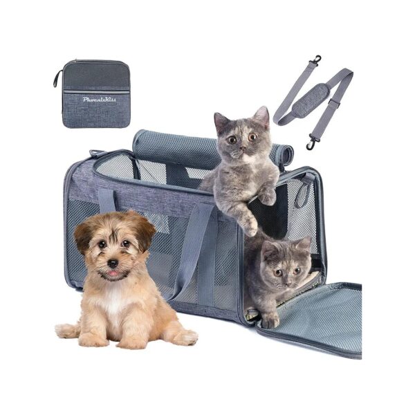 Large Cat Carrier for 2 Cats or Small Dog Travel, Airline Approved with Stable Structure