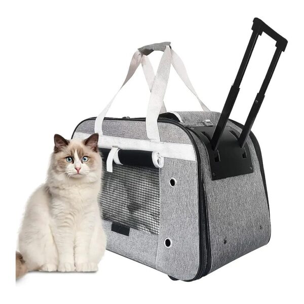 Large Cat and Small Dog Carrier with Wheels for Travel and Vet Appointments