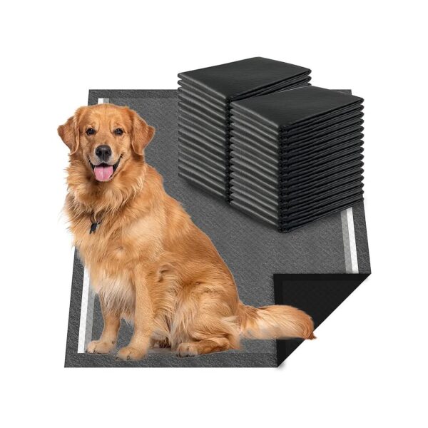 Large Charcoal Puppy Pads for Dog Urine Bed Pads and Training