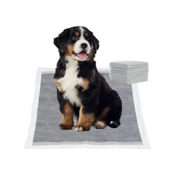 Large Charcoal Puppy Pads for New Born Dog Training, 6 Layer Leak-Proof and Odorless