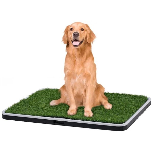 Large Dog Grass Mat with Tray for Indoor or Outdoor Use