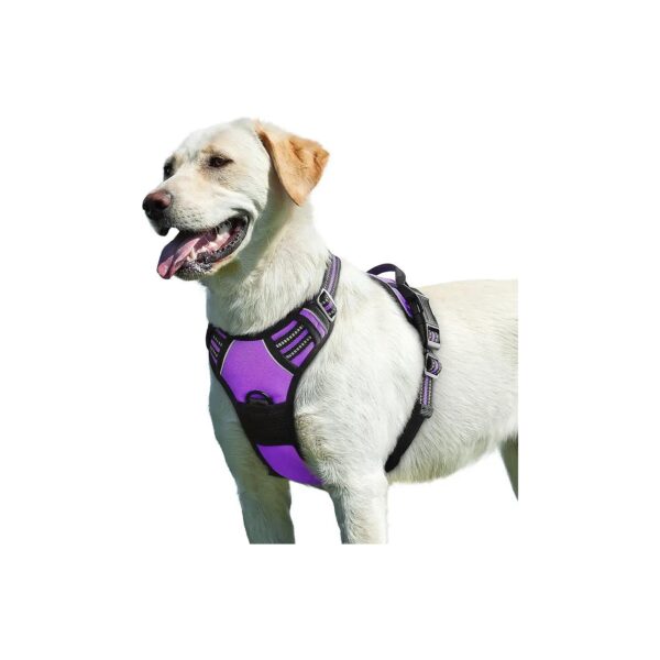 Large Dog Harness with Reflective Material and Control Handle for Easy Walking