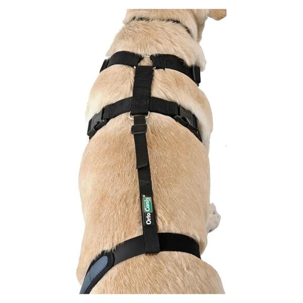 Large Dog Size Knee Support for Torn Acl and Cruciate Ligament Injury