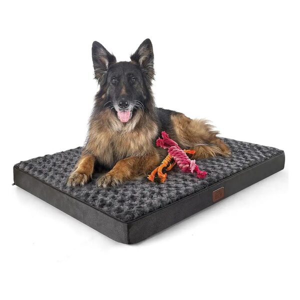 Large Dog Sleeping Bed with Foam Support, Waterproof Cover, and Luxurious Velvet Surface