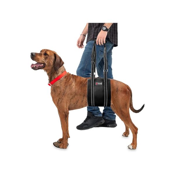 Large Dog Sling Harness for Back Legs, Assistance for Dogs with Joint and Spine Issues