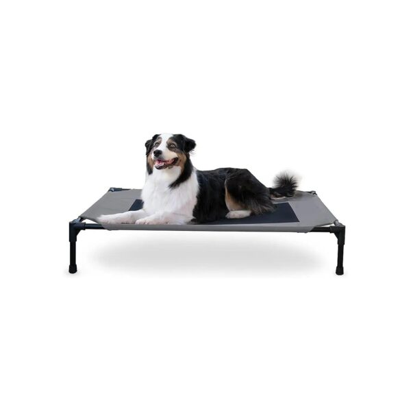 Large Elevated Dog Bed with Cooling Breathable Mesh and No-Slip Feet