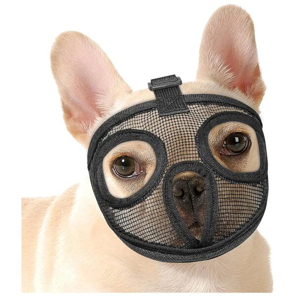 Large French Bulldog Muzzle with Black Mesh Material and Adjustable Buckle