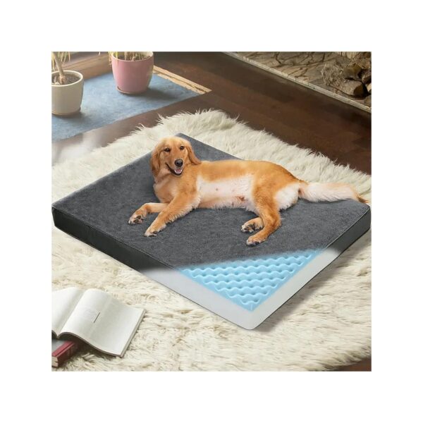 Large Orthopedic Memory Foam Dog Bed Dark Grey Waterproof Cover