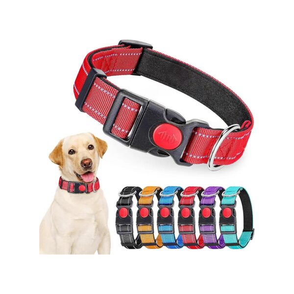 Large Pack of Reflective Dog Collars in Six Vibrant Colors for Easy Identification