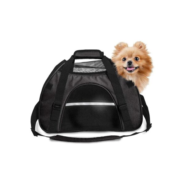 Large Pet Carrier Tote Bag with Weather Guard and Breathable Mesh Windows - Black