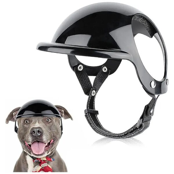 Large Pet Dog Helmet with Ear Hole for Multi-Sport Fun