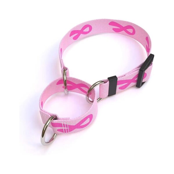 Large Pink Martingale Control Dog Collar for Active Dogs 18-26 Inch Neck