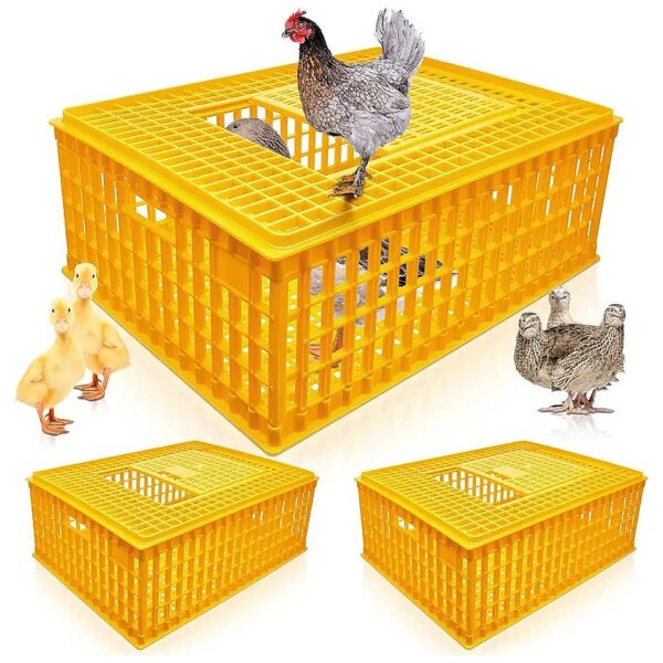 Large Plastic Poultry Transport Crate for Chicken, Duck, Goose, and Birds