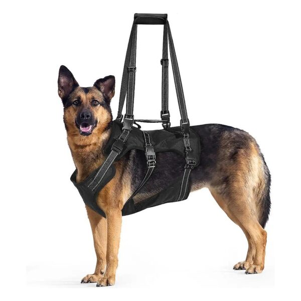 Large Polyester Harness for Old and Disabled Dogs with Joint Injuries and Arthritis