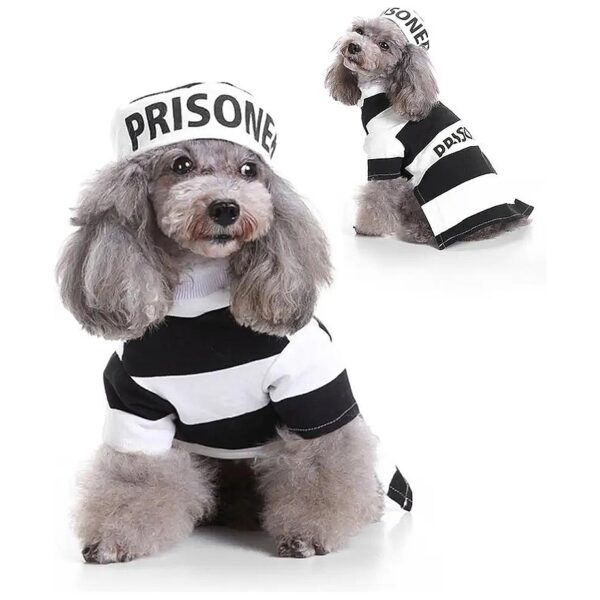 Large Prisoner Pooch Dog Halloween Costume with Hat for Teddy Pug and Chihuahua Pet Party