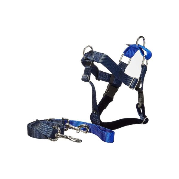 Large Size Royal Blue Velvet Lined Dog Harness with No Pull Design and Adjustable Leash