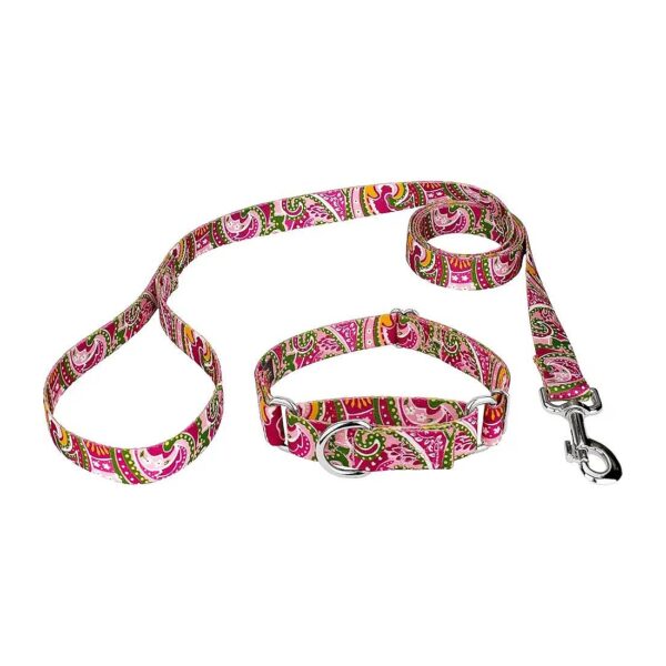 Large Sized Pink Paisley Collar and Leash with 1 Inch Width and Adjustable Neck