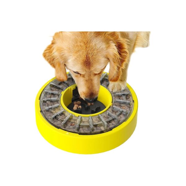 Large Slow Feeder Dog Bowl Puzzle for Busy and Interactive Feeding