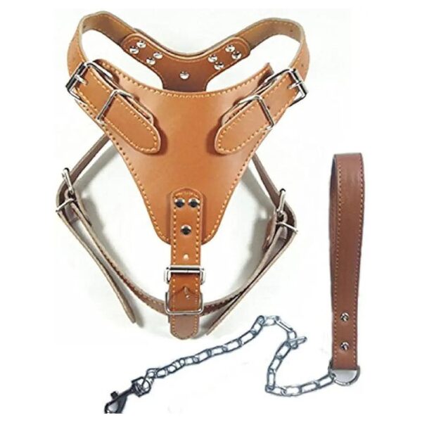 Large Soft Leather Dog Harness Leash Set for Pit Bull Boxer Bull Terrier