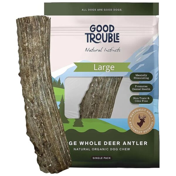 Large, Whole Antler Chews, 100% Natural and Non-Toxic for Dog's Dental Health