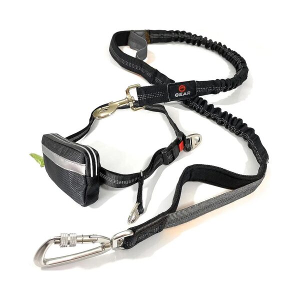 Large and Adjustable Hands-Free Dog Leash with Locking Carabiner and Waterproof Pouch