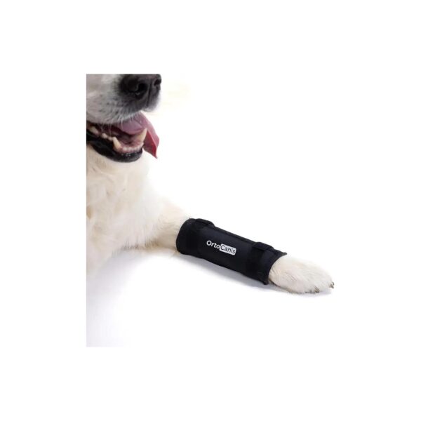 Lateral Carpal Support for Medium-Sized Dogs with Arthritic Joints