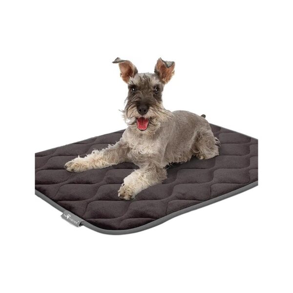 Leakproof Padded Crate Mats for Dogs provide Comfort and Cleanliness