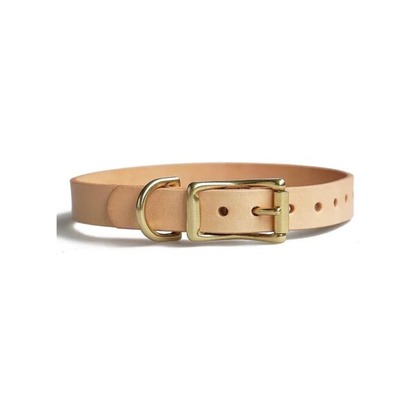 Leather Dog Collar with Brass Hardware and Adjustable Length for Small and Medium Pets