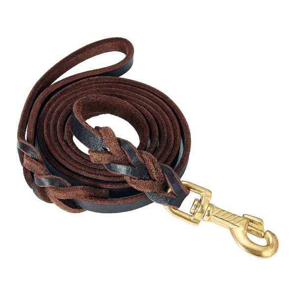 Leather Dog Leash 6 Foot Braided Training Leash for Large Medium Leads in Brown Color