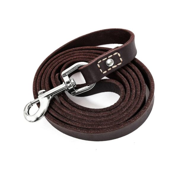 Leather Dog Training Leash 6 Foot Long 3/4 Inch Wide Brown for Puppies