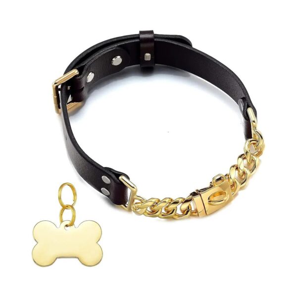 Leather Martingale Collar with Gold Stainless Steel Chain for Small Medium Large Dogs