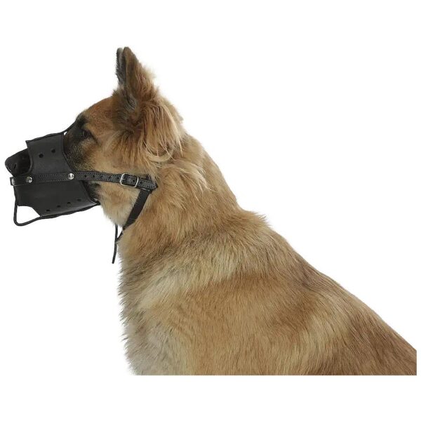 Leather Muzzle for Dogs Medium Size Adjustable Arm Strap