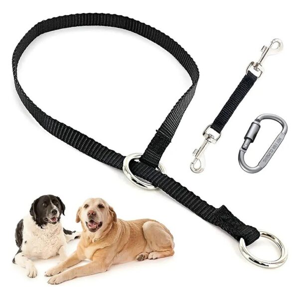 Lifetime Guarantee Backup Collar and Clip Set for Safe Dog Walking