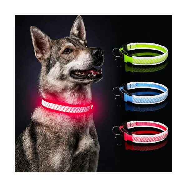 Light Up Dog Collar for Small Dogs with High Visibility and Flashing Modes