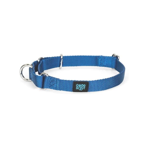 Lightweight Blue Nylon Martingale Collar for Small to Medium Dogs with Easy Pull-On