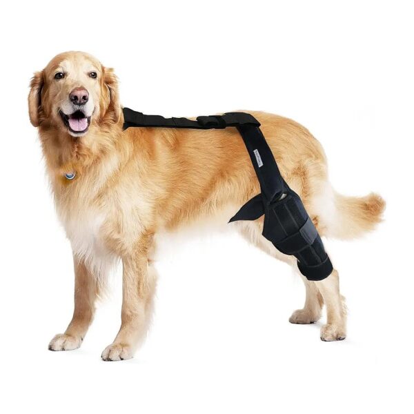 Lightweight Dog Knee Cap Support for Hind and Rear Leg Injury Rehabilitation