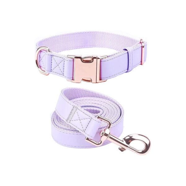 Lightweight Easy to Clean Dog Collar and Leash for Small Medium Large Dogs