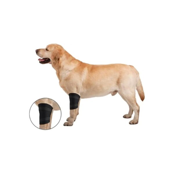 Lightweight and Breathable Wrap for Large Dog Leg Support