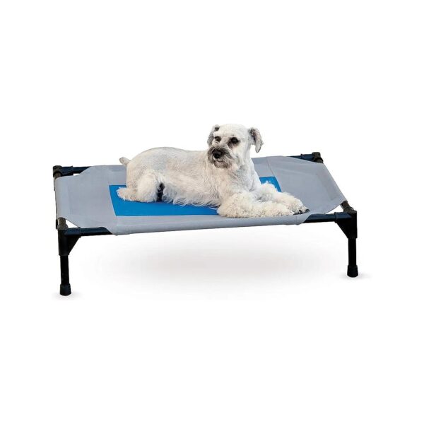 Lightweight and Durable Elevated Cooling Dog Cot for Medium Dogs