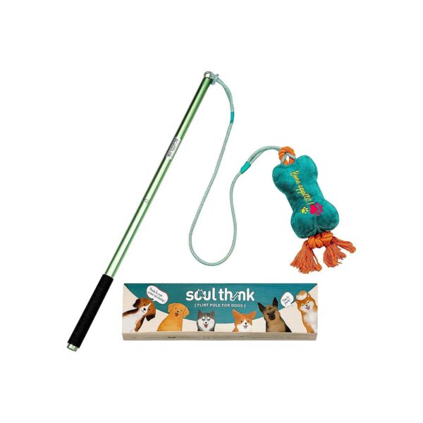 Lightweight and Durable Flirt Pole for Dog Training