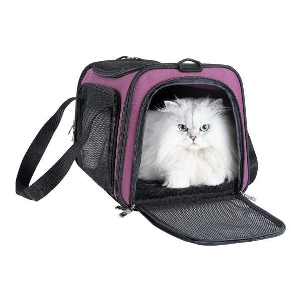 Lightweight and Easy to Carry Pet Carrier for Medium Cats and Small Dogs