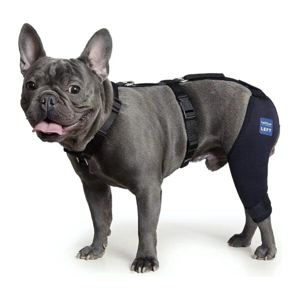 Lightweight and Supportive Dog Knee Braces for Reducing Pain and Inflammation